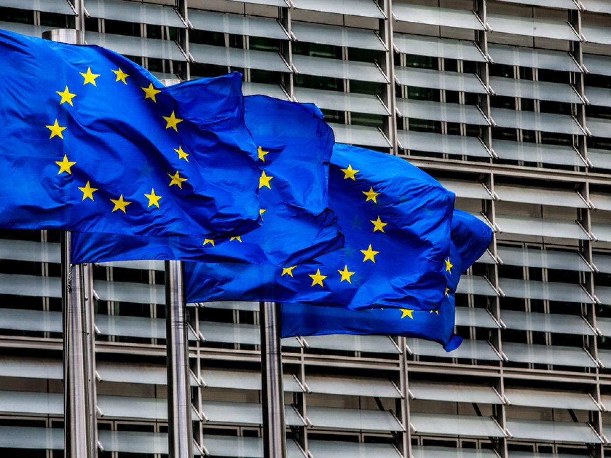 &Psi;&eta;&phi;&iota;&alpha;&kappa;έ&sigmaf; &alpha;&gamma;&omicron;&rho;έ&sigmaf; &ndash; &Tau;&iota; &zeta;ή&tau;&eta;&sigma;&epsilon; &nu;&alpha; &gamma;ί&nu;&epsilon;&iota; &omicron; &epsilon;&upsilon;&rho;&omega;&beta;&omicron;&upsilon;&lambda;&epsilon;&upsilon;&tau;ή&sigmaf; &Delta;&eta;&mu;ή&tau;&rho;&eta;&sigmaf; &Tau;&sigma;&iota;ό&rho;&delta;&alpha;&sigmaf;
