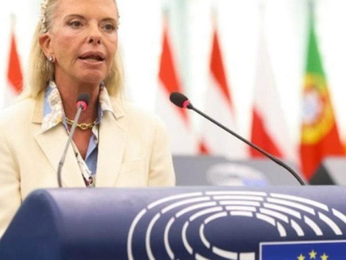 Την ασφάλεια των πλοίων στα Στενά του Ορμούζ ζητά με ερώτηση η Βόζεμπεργκ