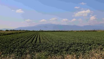 Το αυξημένο κόστος στα λιπάσματα συζητήθηκε μεταξύ άλλων σε συνάντηση του Μ. Σχοινά με Ευρωπαία Επίτροπο