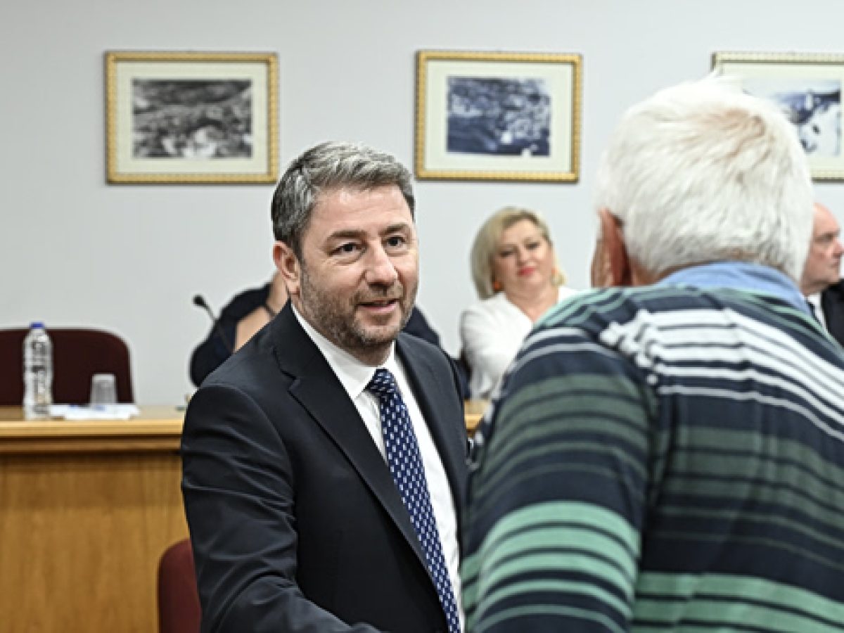 &Alpha;&nu;&delta;&rho;&omicron;&upsilon;&lambda;ά&kappa;&eta;&sigmaf;: &Tau;&omicron; &delta;&eta;&mu;&omicron;&gamma;&rho;&alpha;&phi;&iota;&kappa;ό &theta;&alpha; &epsilon;ί&nu;&alpha;&iota; &eta; &mu;&epsilon;&gamma;ά&lambda;&eta; &omicron;&iota;&kappa;&omicron;&nu;&omicron;&mu;&iota;&kappa;ή &kappa;&alpha;&iota; &kappa;&omicron;&iota;&nu;&omega;&nu;&iota;&kappa;ή &nu;ά&rho;&kappa;&eta; &tau;&alpha; &epsilon;&pi;ό&mu;&epsilon;&nu;&alpha; &chi;&rho;ό&nu;&iota;&alpha;