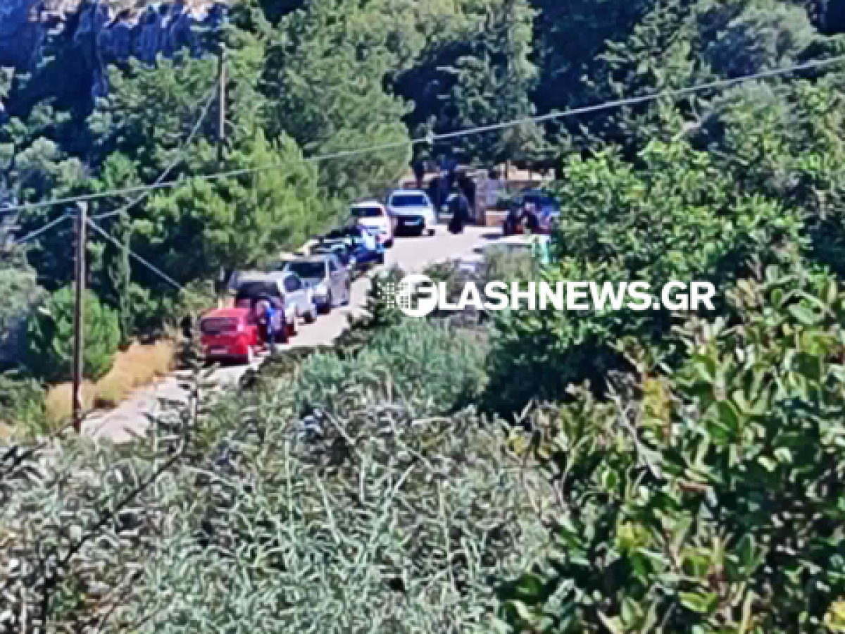 &Chi;&alpha;&nu;&iota;ά: &Sigma;&tau;&omicron;&nu; &Alpha;&rho;&gamma;&omicron;&upsilon;&lambda;&iota;&delta;έ &Kappa;&upsilon;&rho;&iota;ά&kappa;&omicron;&sigmaf; &Mu;&eta;&tau;&sigma;&omicron;&tau;ά&kappa;&eta;&sigmaf; &kappa;&alpha;&iota; &Nu;&tau;ό&rho;&alpha; &Mu;&pi;&alpha;&kappa;&omicron;&gamma;&iota;ά&nu;&nu;&eta; &gamma;&iota;&alpha; &tau;&omicron; &mu;&nu;&eta;&mu;ό&sigma;&upsilon;&nu;&omicron; &tau;&omicron;&upsilon; &Kappa;&omega;&nu;&sigma;&tau;&alpha;&nu;&tau;ί&nu;&omicron;&upsilon; &Mu;&eta;&tau;&sigma;&omicron;&tau;ά&kappa;&eta; &ndash; &Sigma;&epsilon; &sigma;&tau;&epsilon;&nu;ό &kappa;ύ