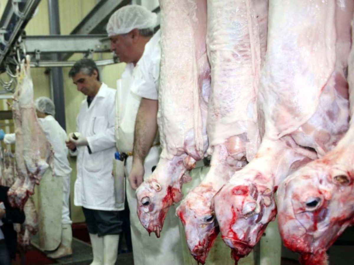 Επικαιροποίηση Οδηγού HACCP για τα Σφαγεία Οπληφόρων – Ενίσχυση μέτρων βιοασφάλειας και απολύμανσης