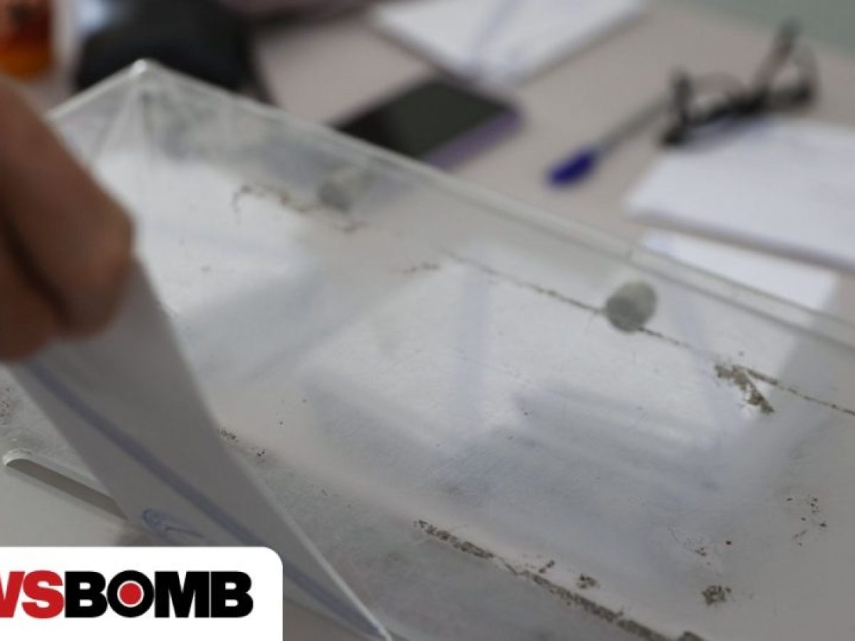 &Phi;&alpha;&nu;&alpha;&rho;ά&sigmaf; &kappa;&alpha;&tau;ά &Pi;&Alpha;&Sigma;&Omicron;&Kappa; &gamma;&iota;&alpha; &tau;&alpha; &pi;&omicron;&sigma;&omicron;&sigma;&tau;ά &tau;&omega;&nu; &kappa;&omicron;&mu;&mu;ά&tau;&omega;&nu; &mu;&epsilon; &alpha;&nu;&alpha;&gamma;&omega;&gamma;ή: &laquo;&Kappa;&alpha;&lambda;ά &mu;&upsilon;&alpha;&lambda;ά&raquo;
