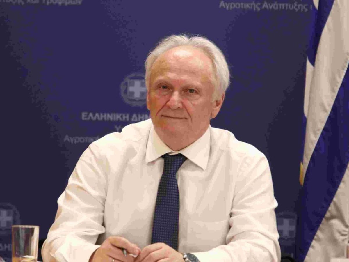 &Gamma;. &Alpha;&nu;&delta;&rho;&iota;&alpha;&nu;ό&sigmaf;: &Alpha;&nu;ά&gamma;&kappa;&eta; &gamma;&iota;&alpha; &epsilon;&nu;&iota;&alpha;ί&alpha; &sigma;&tau;&rho;&alpha;&tau;&eta;&gamma;&iota;&kappa;ή &pi;&omicron;&upsilon; &theta;&alpha; &sigma;&upsilon;&nu;&delta;έ&epsilon;&iota; &omicron;&rho;&gamma;&alpha;&nu;&iota;&kappa;ά &tau;&omicron;&upsilon;&rho;&iota;&sigma;&mu;ό &ndash; &alpha;&gamma;&rho;&omicron;&delta;&iota;&alpha;&tau;&rho;&omicron;&phi;ή &ndash; &pi;&omicron;&lambda;&iota;&tau;&iota;&sigma;&mu;ό