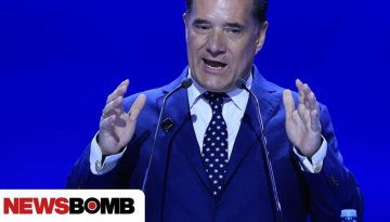 Γεωργιάδης για κόμμα Καρυστιανού: Κατώτερη του αναμενομένου η σημερινή εμφάνιση