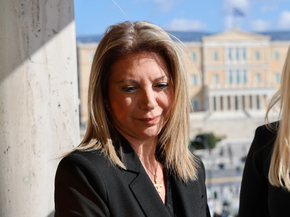 ιδρύθηκε το “κόμμα Καρυστιανού”! -αυτές είναι οι Αρχές του νέου κόμματος