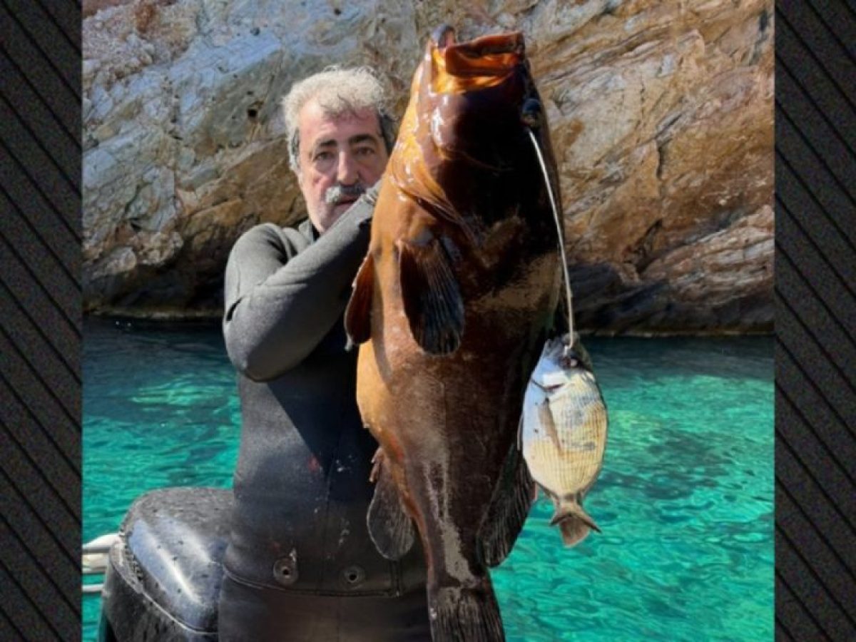 «Εμείς δεν ψαρεύουμε σε θολά νερά»: Αιχμηρή ανάρτηση Πολάκη με ροφό 13,5 κιλών