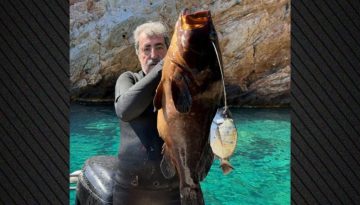 «Εμείς δεν ψαρεύουμε σε θολά νερά»: Αιχμηρή ανάρτηση Πολάκη με ροφό 13,5 κιλών