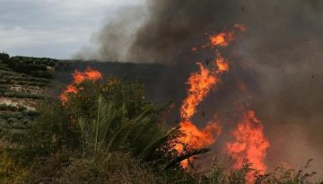 Φθιώτιδα: Φωτιά στην περιοχή της Πελασγίας – Επιχειρούν και εναέρια μέσα | Lykavitos.gr