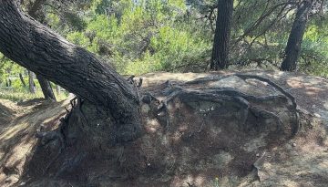 Κλιματικό Χάος: Μπροστά στην καταστροφή της ανθρωπότητας