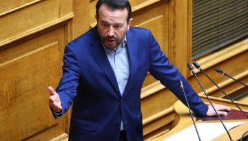 Νίκος Παππάς: Ο Φάμελλος να φέρει τα αποτελέσματα της απόφασης της ΚΕ, αν όχι τα όλα πρέπει να εξεταστούν | Pagenews.gr