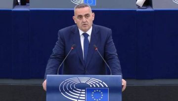 Παρέμβαση Μπελέρη για τα επεισόδια στην Αλβανία: Η Επιτροπή θα ζητήσει διευκρινίσεις από τις αρχές σχετικά με τη διασφάλι