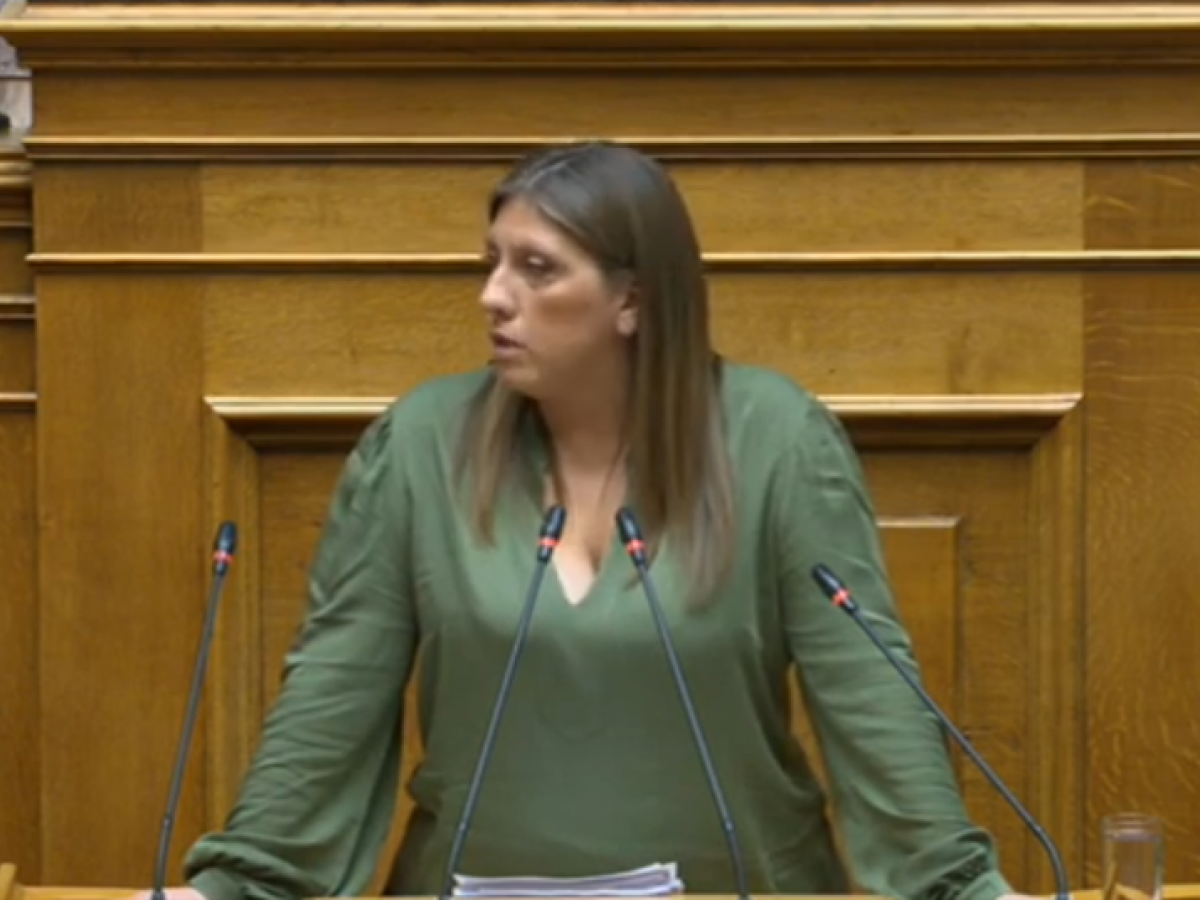 &Kappa;&omega;&nu;&sigma;&tau;&alpha;&nu;&tau;&omicron;&pi;&omicron;ύ&lambda;&omicron;&upsilon; &kappa;&alpha;&tau;ά &Pi;&Alpha;&Sigma;&Omicron;&Kappa;: &laquo;&Mu;&pi;&rho;ά&beta;&omicron; &Alpha;&nu;&delta;&rho;&omicron;&upsilon;&lambda;ά&kappa;&eta; &gamma;&iota;&alpha; &tau;&eta; &chi;&epsilon;ί&rho;&alpha; &beta;&omicron;&eta;&theta;&epsilon;ί&alpha;&sigmaf; &sigma;&tau;&eta; &Nu;&Delta;&raquo; &ndash; The Press Project &ndash; &Epsilon;&iota;&delta;ή&sigma;&epsilon;&iota;&sigmaf;, &Alpha;&nu;&alpha;&lambda;ύ&sigma;&epsilon;&iota;&sigmaf;, &Rho;&alpha;&delta;&iota;ό&phi;&omega;&nu;&omicron;, &Tau;&eta;&lambda;&epsilon;ό&rho;&alpha;&sigma;&eta;