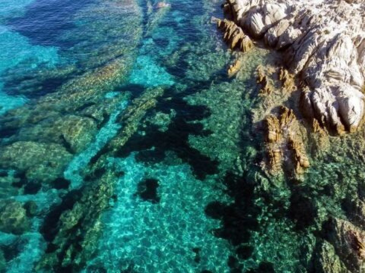 &Eta; &Epsilon;&lambda;&lambda;ά&delta;&alpha; &pi;&rho;&omicron;&chi;&omega;&rho;ά &sigma;&tau;&eta;&nu; &pi;&rho;&omicron;&sigma;&tau;&alpha;&sigma;ί&alpha; &tau;&omega;&nu; &theta;&alpha;&lambda;&alpha;&sigma;&sigma;ώ&nu; &tau;&eta;&sigmaf; &ndash; &Sigma;&tau;&omicron; &Sigma;&tau;&Epsilon; &tau;&omicron; &sigma;&chi;έ&delta;&iota;&omicron; &gamma;&iota;&alpha; &tau;&omicron; &Epsilon;&theta;&nu;&iota;&kappa;ό &Theta;&alpha;&lambda;ά&sigma;&sigma;&iota;&omicron; &Pi;ά&rho;&kappa;&omicron; &Nu;ό&tau;&iota;&omicron;&upsilon; &Alpha;&iota;&gamma;&alpha;ί&omicron;&upsilon; 1